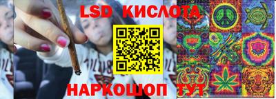 ГАЛЛЮЦИНОГЕННЫЕ ГРИБЫ Гусев