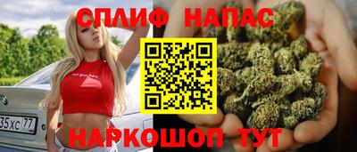 индика Гусиноозёрск