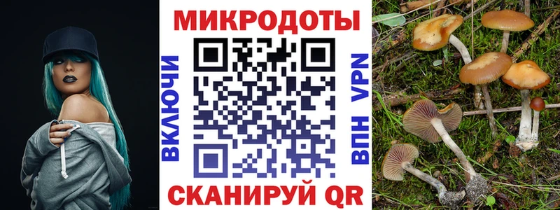 Псилоцибиновые грибы Cubensis  OMG как войти  Кувандык 